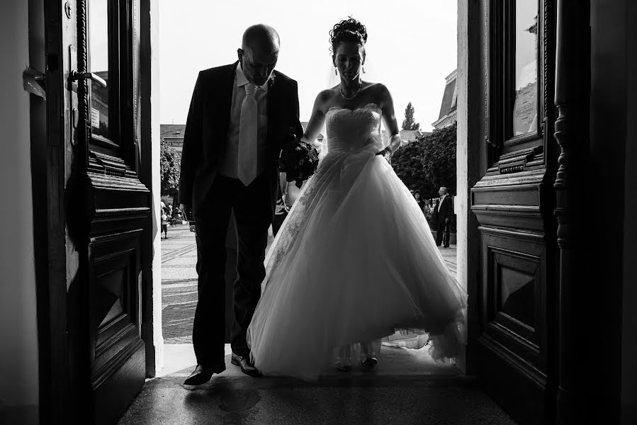 Fotografo di matrimoni Norbert Ludaš (norbertludas). Foto del 8 maggio 2019