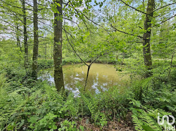 terrain à Mignavillers (70)