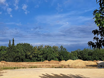 terrain à Bollene (84)