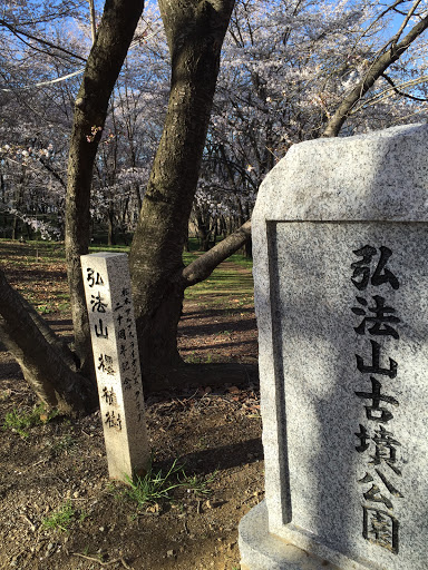 弘法山古墳石碑