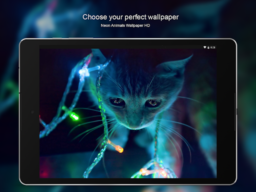 Neon Animals Wallpaper HD