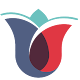 Istanbul American Schools (IAS) Download on Windows