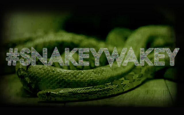 Snakey Wakey