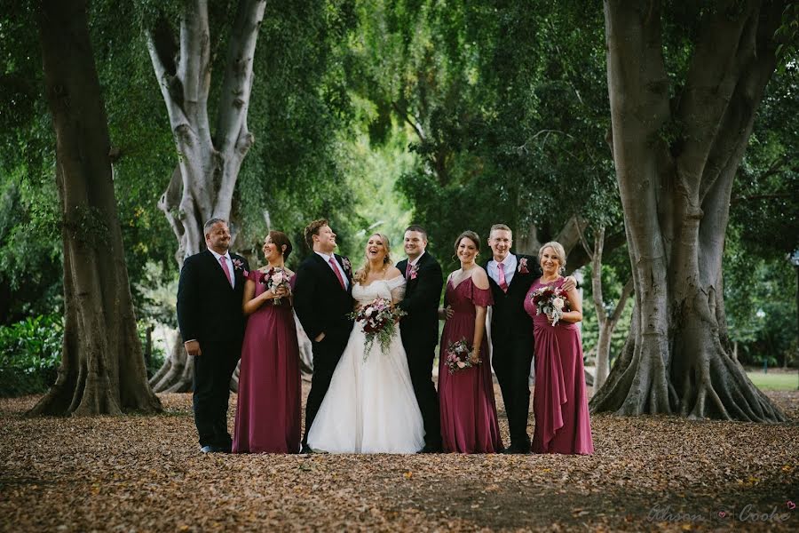 Wedding photographer Alison Cooke (alison). Photo of 27 January 2019