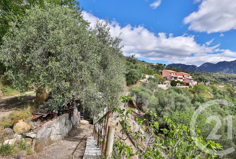  Vente Terrain à bâtir - 16 272m² à Sainte-Agnès (06500) 