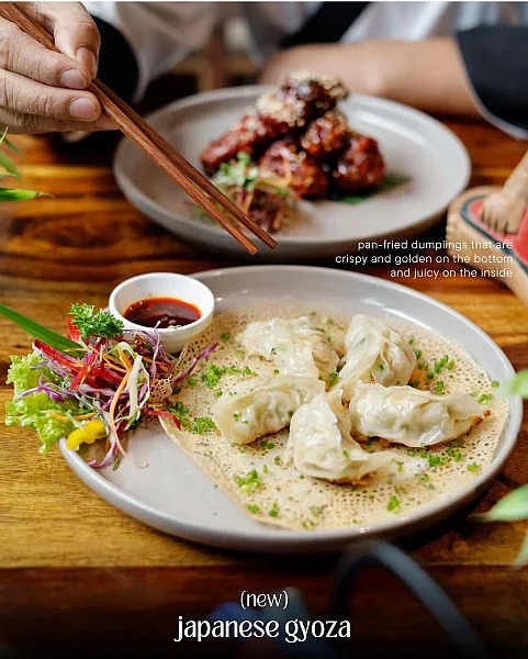 Japanese Gyoza Veg