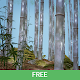 Bamboo Forest 3D Live Wallpaper Free Download on Windows