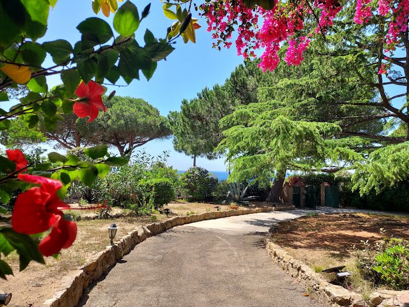 Vente villa 8 pièces 298.47 m² à Ajaccio (20000), 1 500 000 €