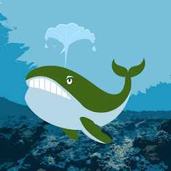 WHALES #155