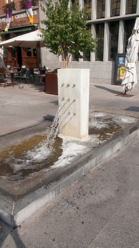 Fontaine du Marché aux Toiles