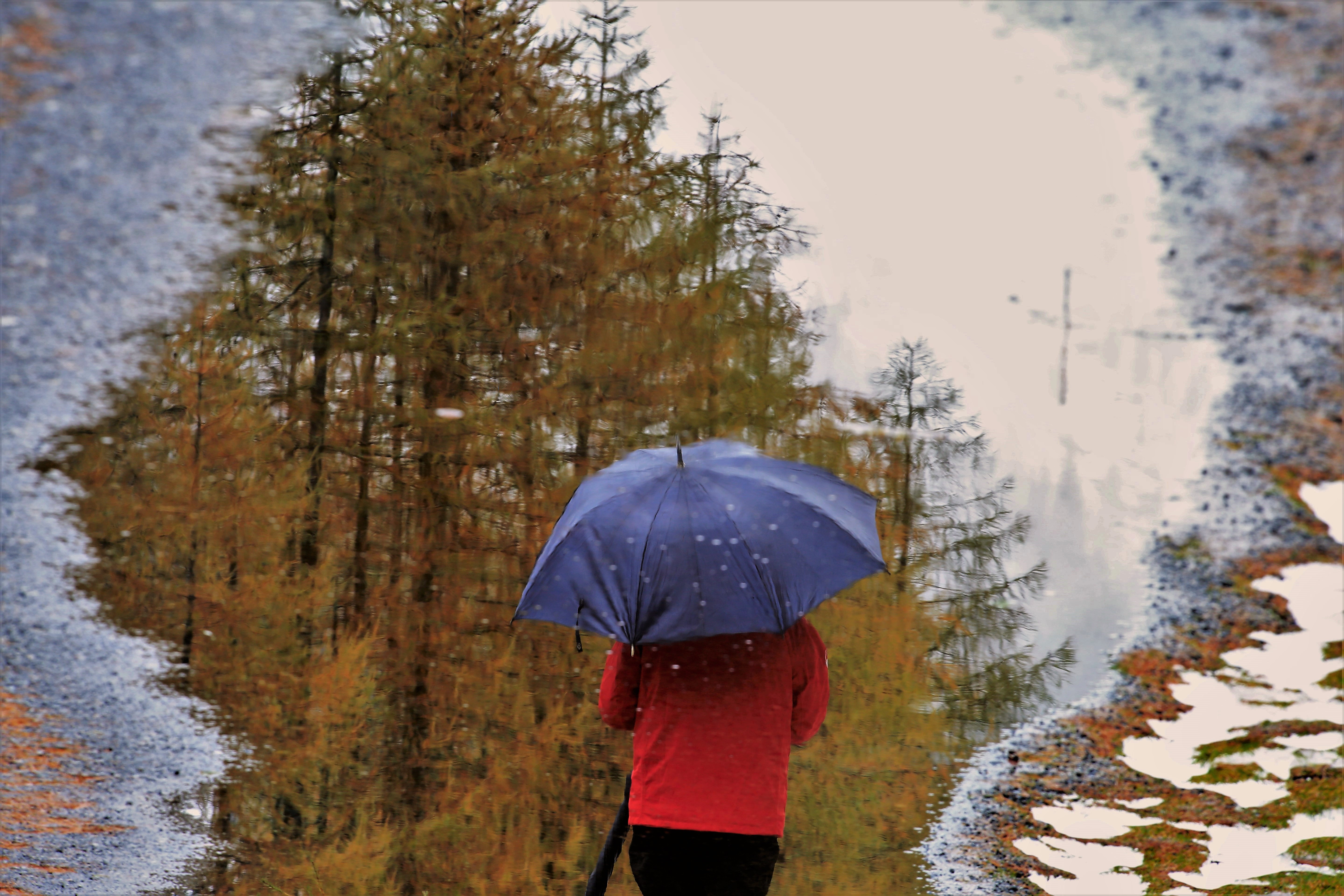 A passeggio con l'ombrello di Rosaria_Scrofani