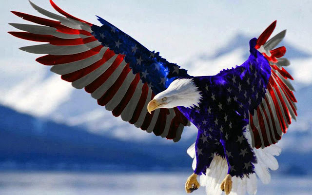 USA Eagle (1920x1080)