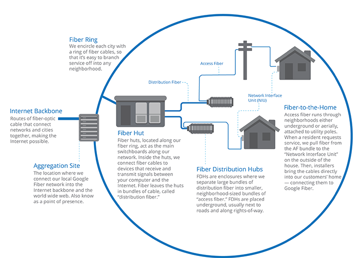 Fiber network architecture