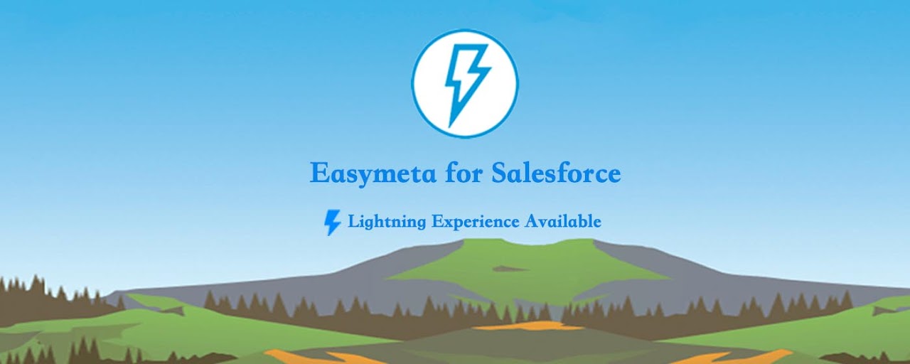 Easymeta for Salesforce Preview image 2