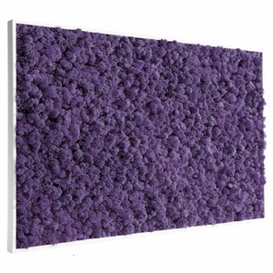 Tableau végétal stabilisé Lichen violet 60 x 80 cm