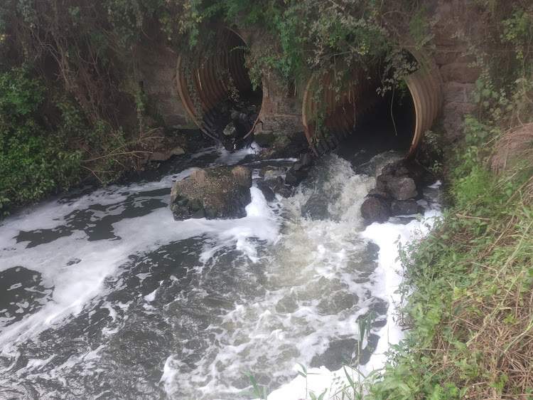 A section of the highly polluted Komo river which is now referred to as Sewerage River by residents in Thika East.