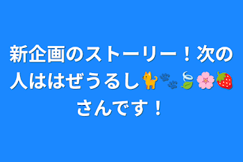 新企画のストーリー！次の人ははぜうるし🐈🐾🍃🌸🍓さんです！