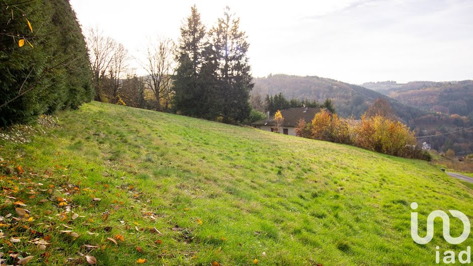 Vente terrain  3073 m² à Olliergues (63880), 22 000 €