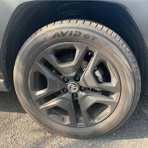 RAV4 MXAA54