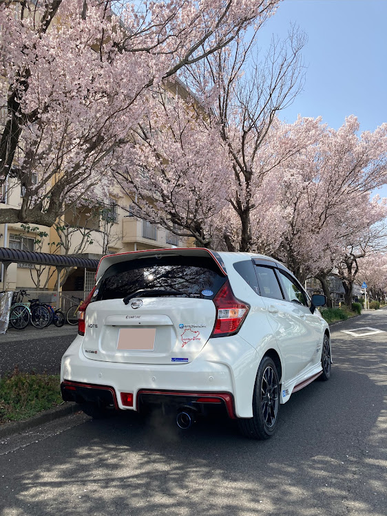 ノートの桜と愛機・ウクライナに平和を・たくさんのいいね&コメントありがとうございます🤗・フォローワー様に心より感謝申し上げます・サクラとコラボに関するカスタム事例の投稿画像2枚目