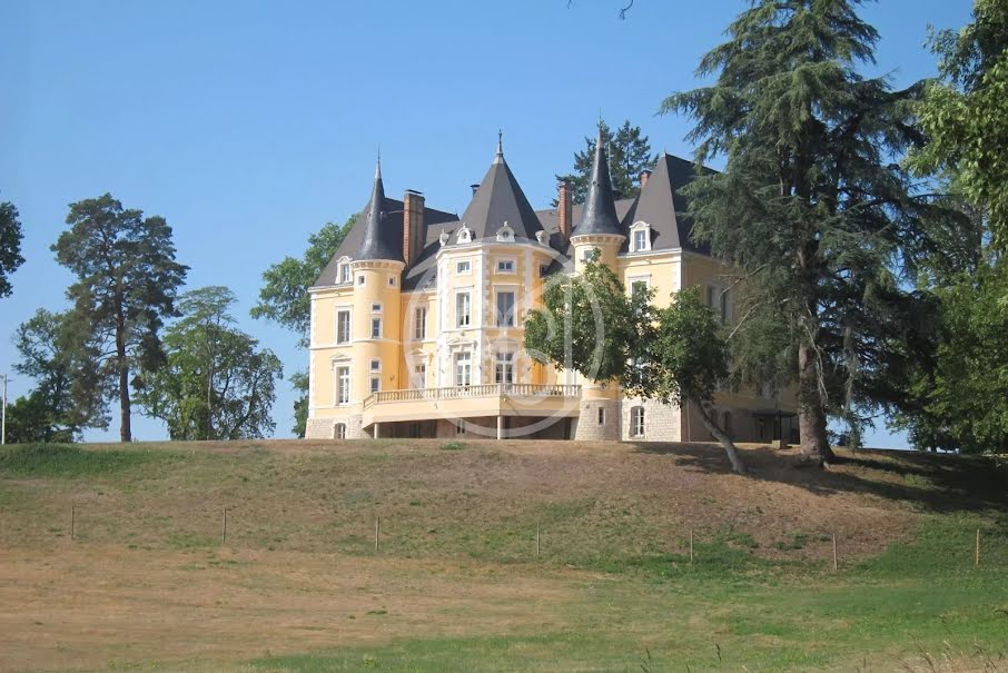 Vente château 15 pièces 1050 m² à Etang-sur-Arroux (71190), 1 895 000 €