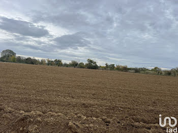 terrain à Saint-Nazaire-d'Aude (11)