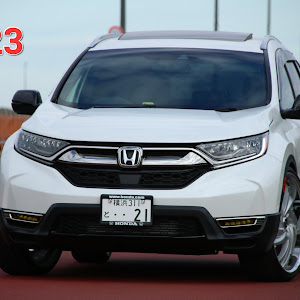 CR-V RW1