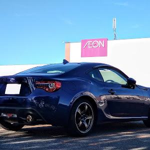 86 ZN6