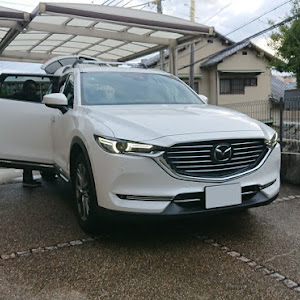 CX-8