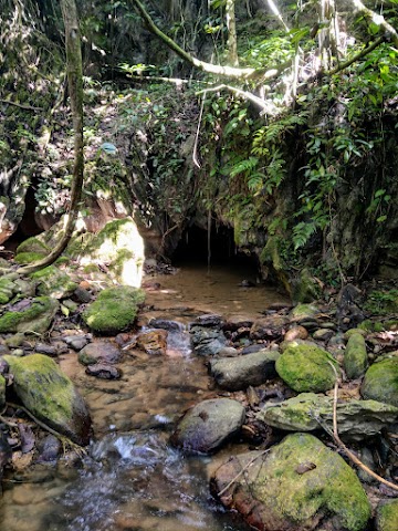 Merapoh Caves Gua Hari Malaysia Gua Padang Kawad