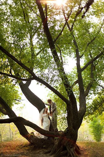 Wedding photographer Vladislav Malinkin (malinkin). Photo of 4 September 2013