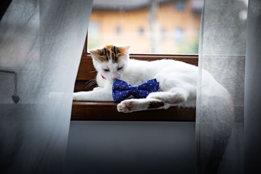 Fotografo di matrimoni Cristian Stoica (stoica). Foto del 20 agosto 2018