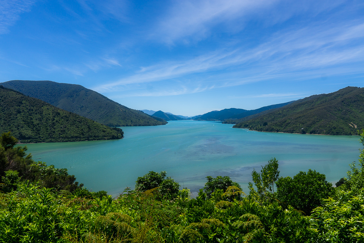 View of Queen Charlotte Sound in New Zealand surrounded by mountains