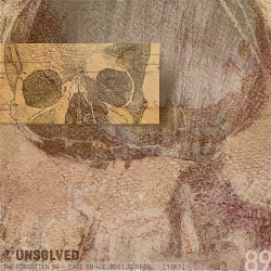 No. 89 / The Forgotten99