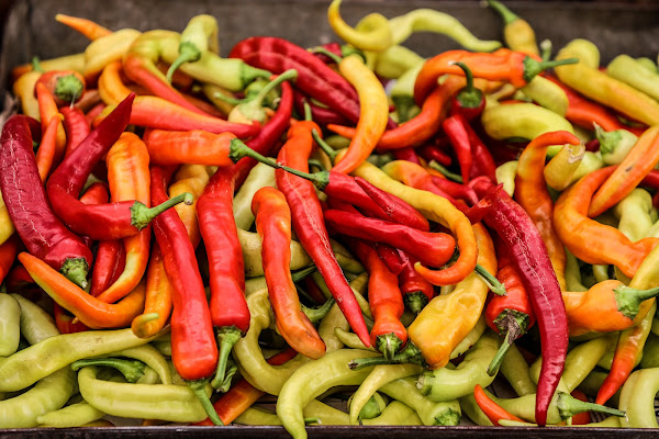 U peperoncino … colorato  di Renata Roattino@jhonninaphoto