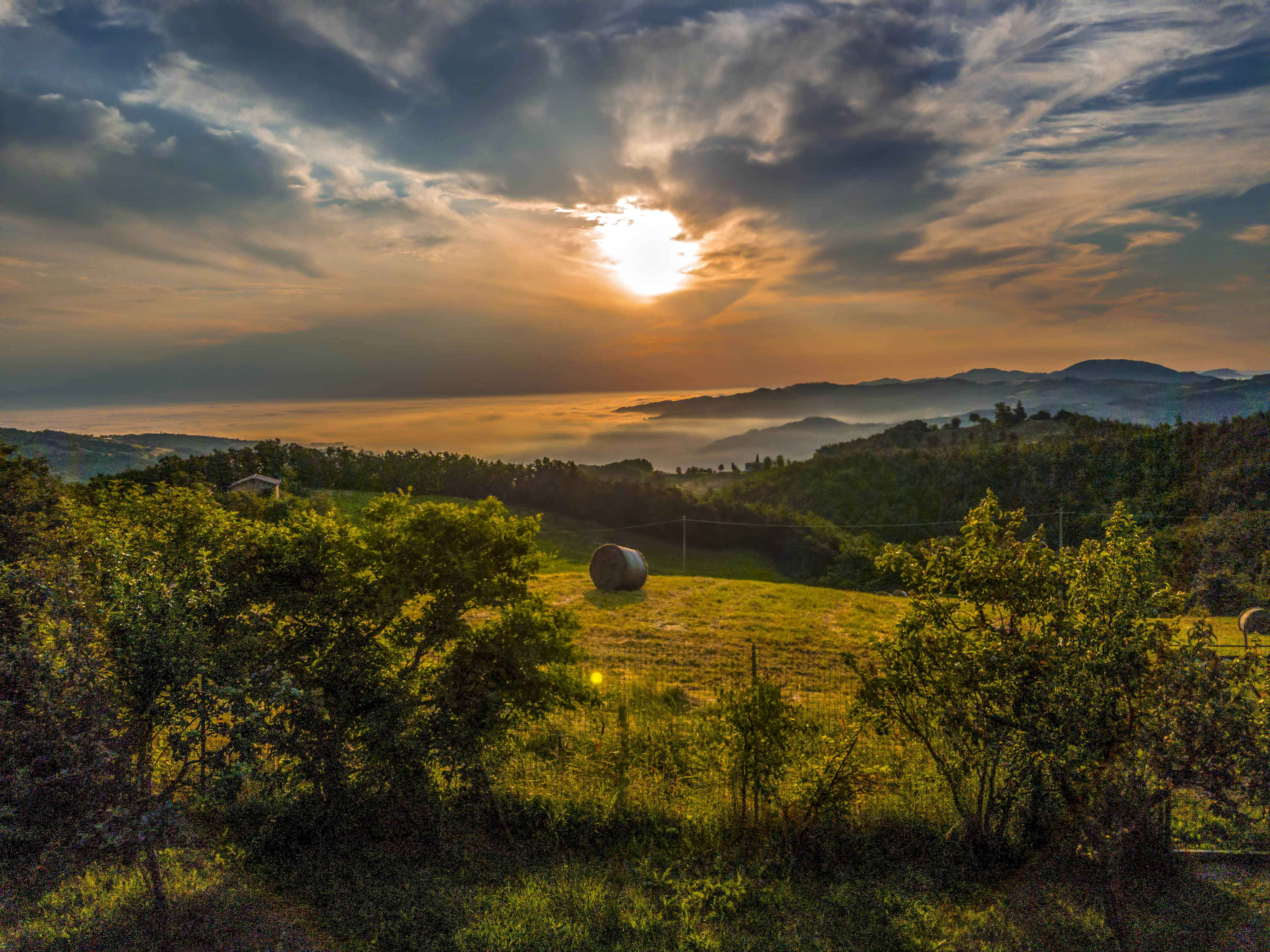 alba estiva di Cinzia_torelli