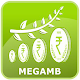 Download MEGAMB For PC Windows and Mac 1.0.2