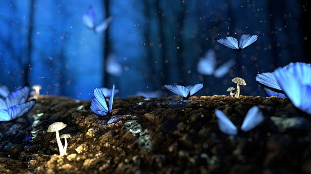 Butterfly, Blue, Forest, Fantasy, Woods, Dream, Surreal