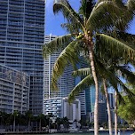 brickel key in Miami, United States 