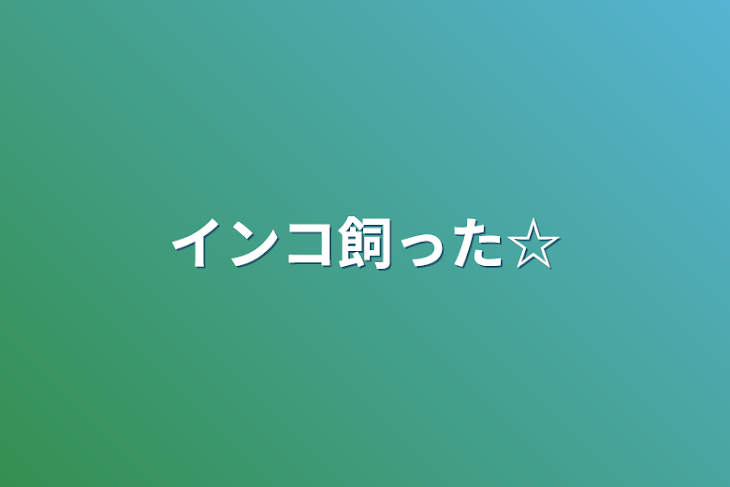 「インコ飼った☆」のメインビジュアル