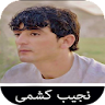 آهنگ های نجیب کشمی افغانی icon