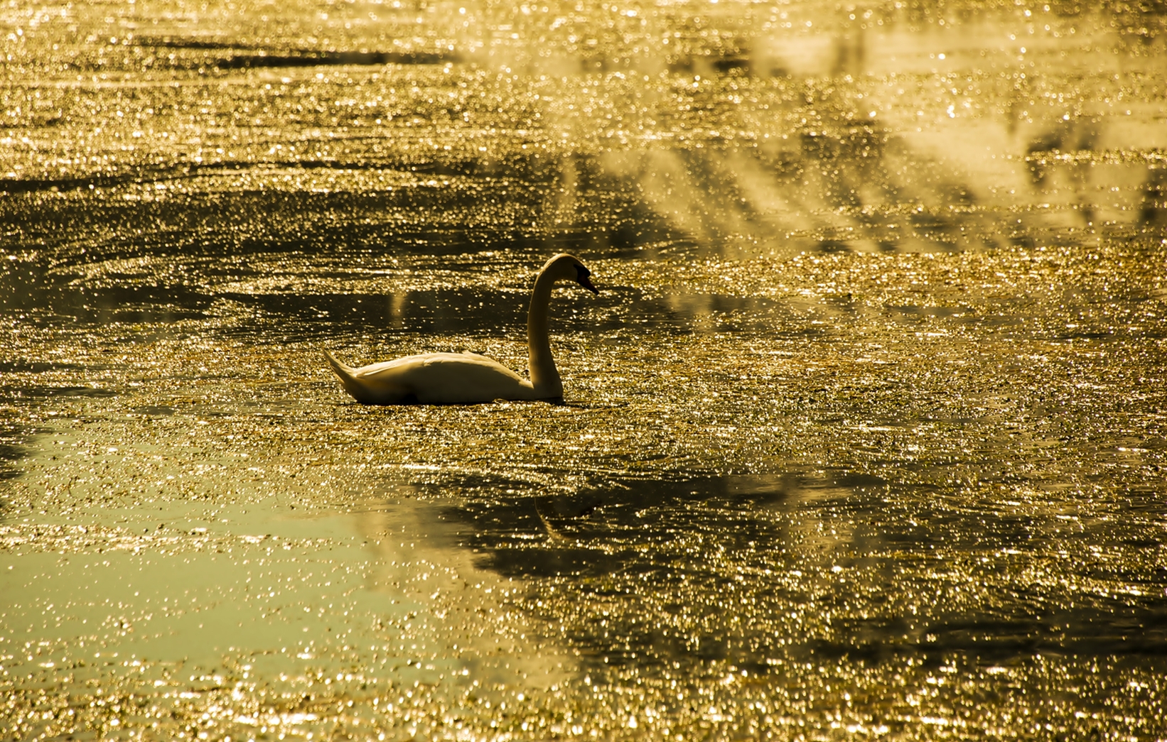 sul lago dorato di artu