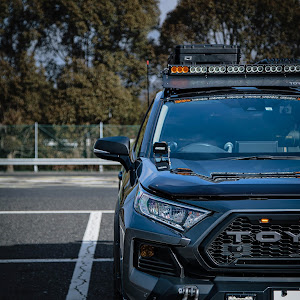 RAV4 MXAA54