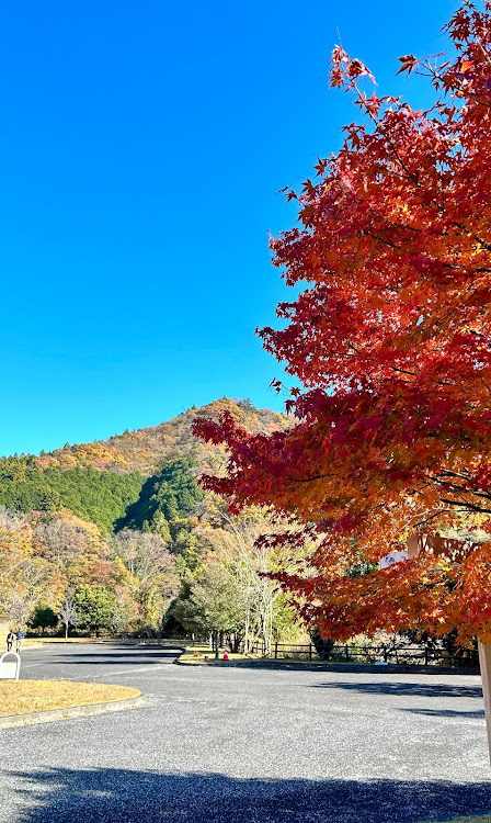 BRZの紅葉🍁ドライブ・宮ヶ瀬・山ってきた⛰️に関するカスタム事例の投稿画像5枚目