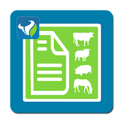 Animal Lists  Icon