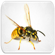 Download Wasp sounds For PC Windows and Mac 7.3.85
