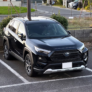 RAV4 AXAH54