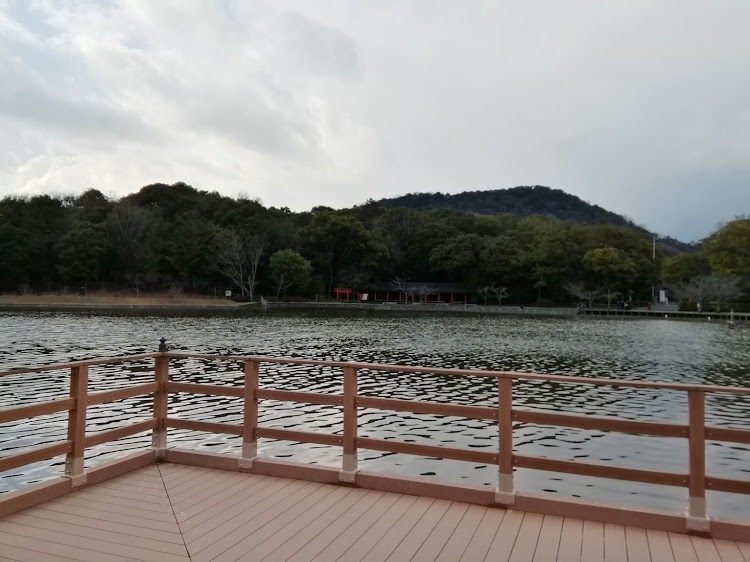 フーガの橿原神宮・一の鳥居と西鳥居新調・神武天皇御鎮座130周年記念事業・ジジと三連坊主に関するカスタム事例の投稿画像10枚目