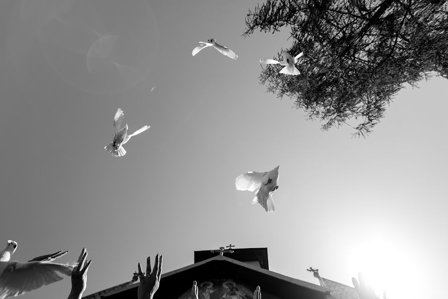 Fotógrafo de casamento Paul Budusan (paulbudusan). Foto de 25 de abril 2018