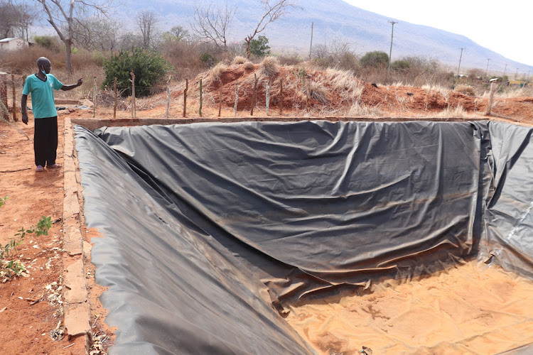 Harrison Mwambogha inspects his dried-up water pan at his farm in Kirumbi, Voi constituency. The region has experienced four consecutive failed rainy seasons.